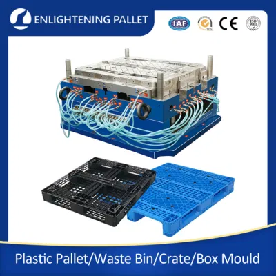 Caixa de paletes de plástico/Bin/Container Mold Caixa de plástico/Molde de caixa